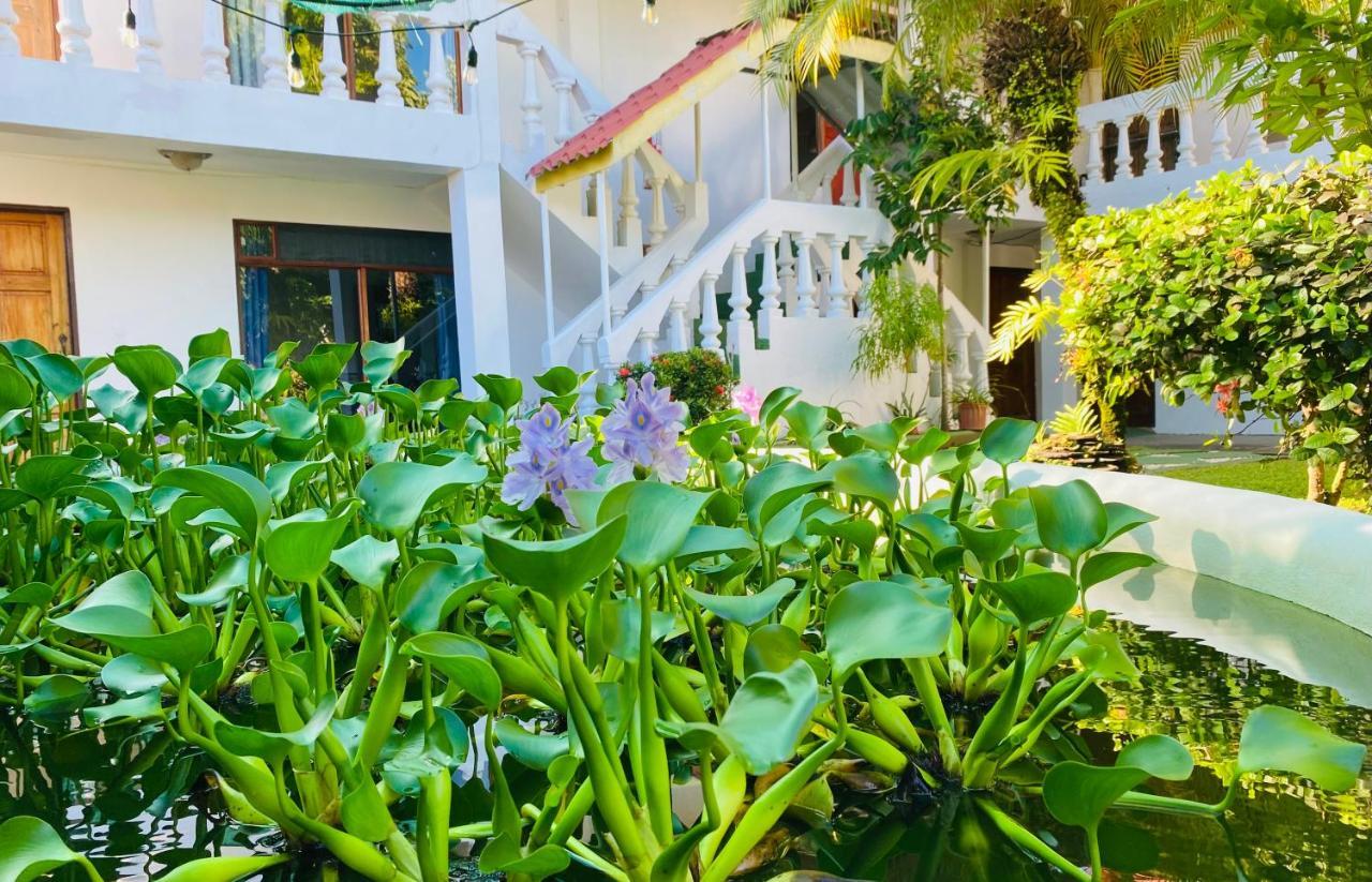 Hospedaje เกโปส ภายนอก รูปภาพ